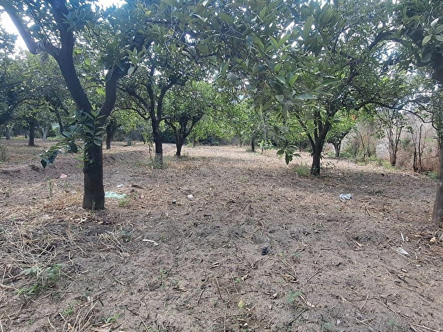 Aydın Kuyucak Merkez Kurtuluş Mah.Konut imarlı arsa - Görsel 26
