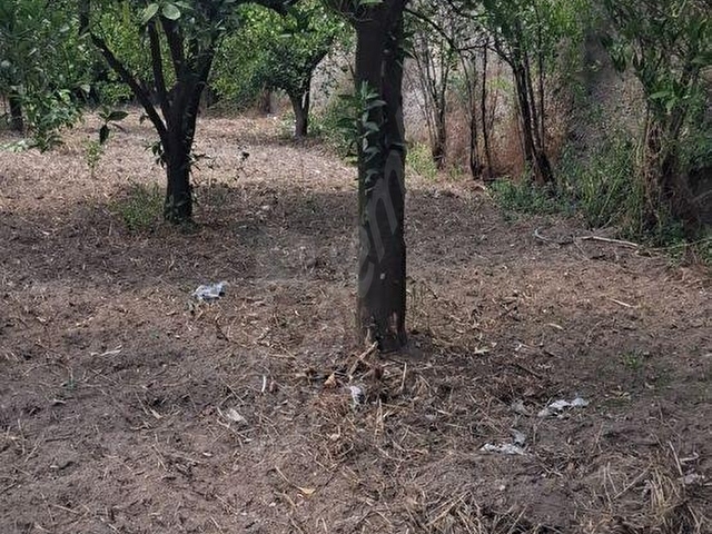 Aydın Kuyucak Merkez Kurtuluş Mah.Konut imarlı arsa - Görsel 20