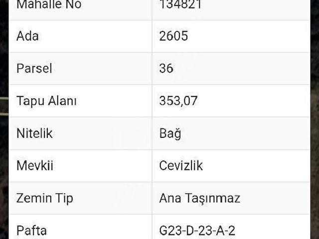 İZNİK YÖRÜKLERDE RESMİ YOLA CEPHELİ KÖYE ÇOK YAKIN HESAPLI YERİM OLSUN DİYENLERE FIRSAT - Görsel 15