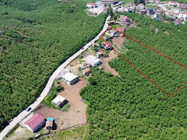 KARASU YEŞİLKÖYDE EVLİ & FINDIK BAHÇELİ - Görsel 2