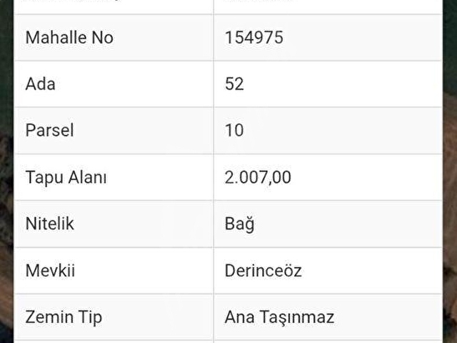 GÜMÜŞHACIKÖY DE BERRE EMLAKTA SATILIK ŞAHANE BAHÇE - Görsel 3