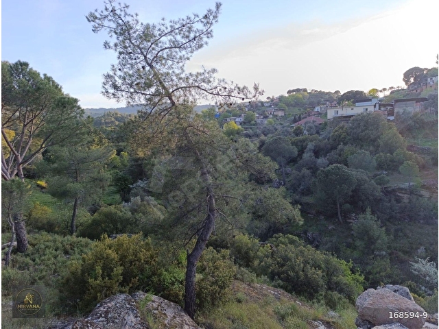 NİRVANA GAYRİMENKULDEN KARPUZLU ŞENKÖY DE SATILIK 1398 M2 BAHÇE - Görsel 6