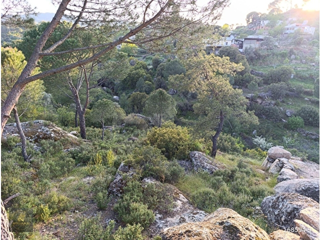 NİRVANA GAYRİMENKULDEN KARPUZLU ŞENKÖY DE SATILIK 1398 M2 BAHÇE - Görsel 9