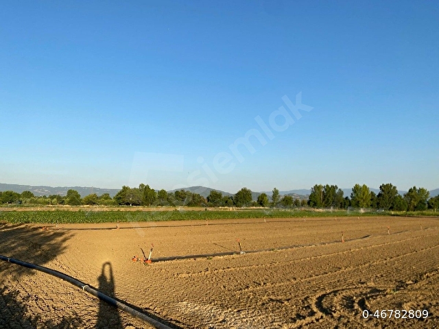 sahibinden satılık 8183m² tarla