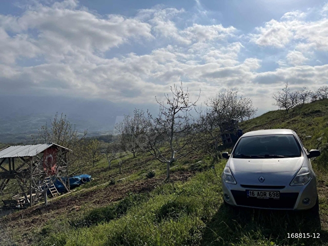 BLUE LİFE ELİTDEN ÜMİTALAN KÖYÜNDE SATILIK TARLA - Görsel 2
