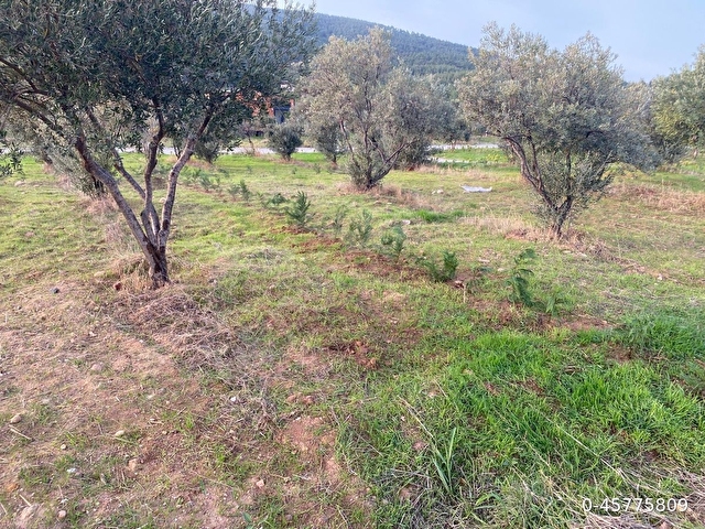 Dereköy’de Site İçerisinde Lüx Bahçe - Görsel 12