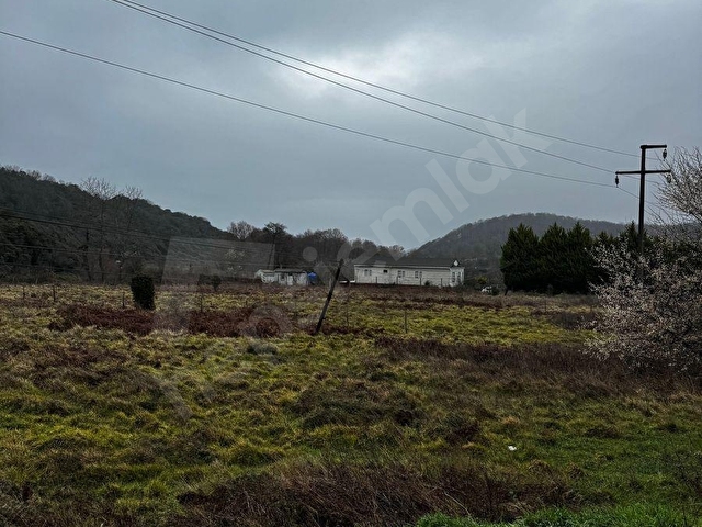 İSTANBUL ŞİLE 1320m2 İMARLI MÜSTAKİL ARSA - Görsel 5