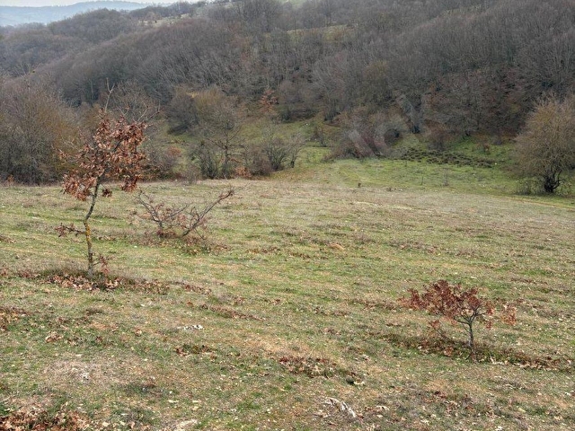 RESMİ YOL KENARI FIRSAT TARLA - Görsel 4