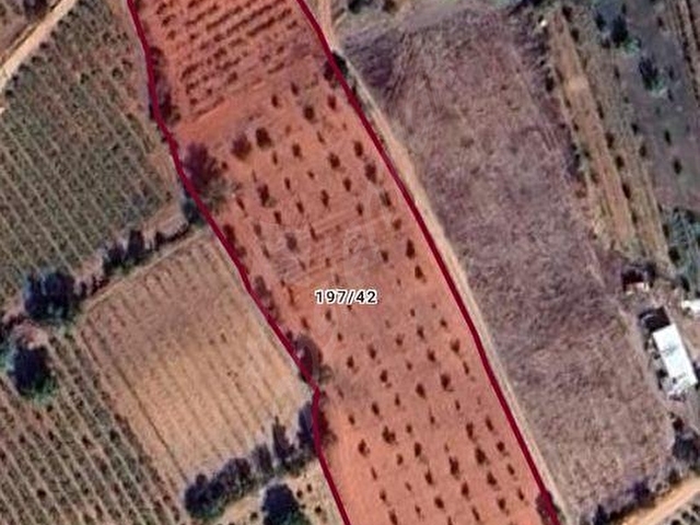 EYSU KARACADAN ÇAL HÜSEYİNLER MAH. YATIRIMLIK SATILIK TARLA... - Görsel 6