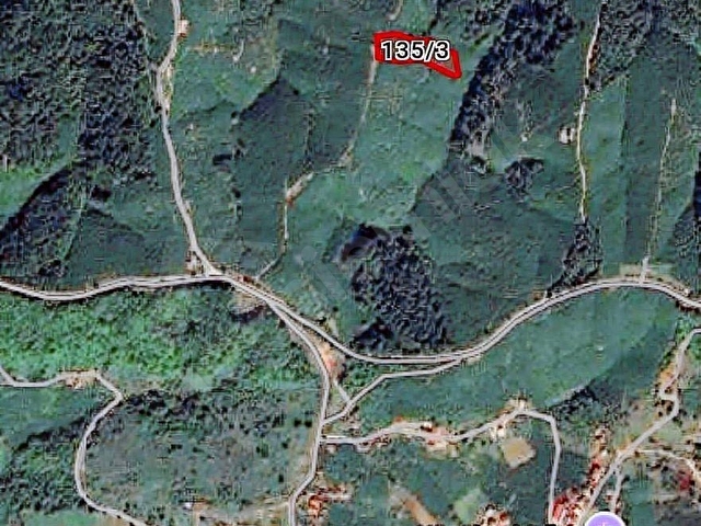 KARASU PARALIDA 7120M2 FINDIKLIK - Görsel 4