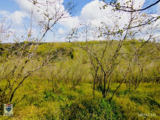 KARASU PARALIDA 7120M2 FINDIKLIK