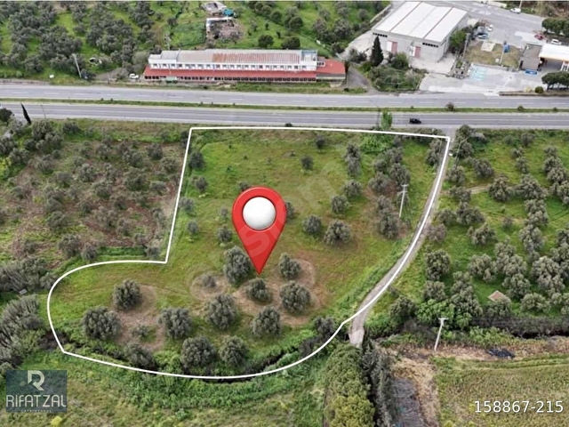 Ayvalık Fethiye Mah. Çanakkale Asfaltına Cephe 6082 m2 Tarla - Görsel 2
