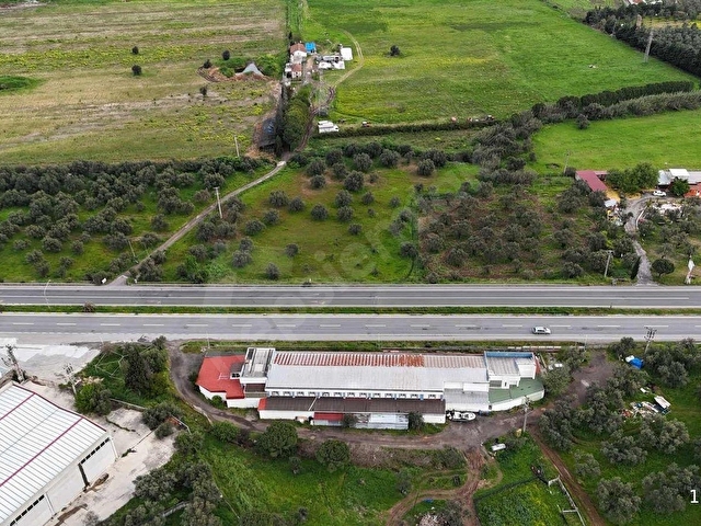 Ayvalık Fethiye Mah. Çanakkale Asfaltına Cephe 6082 m2 Tarla - Görsel 8