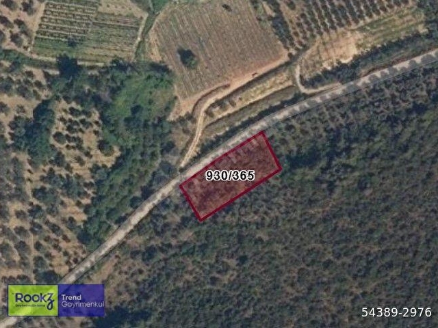 BURSA İZNİK HİSARDERE YATIRIMLIK FIRSAT SATILIK ZEYTİNLİK - Görsel 14
