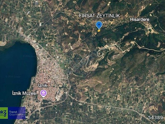 BURSA İZNİK HİSARDERE YATIRIMLIK FIRSAT SATILIK ZEYTİNLİK - Görsel 20