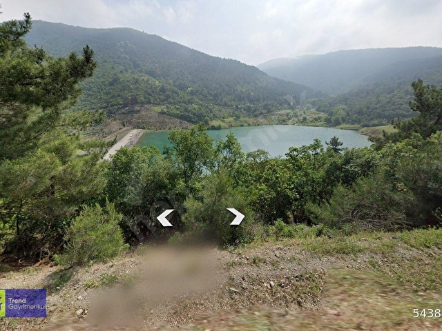 BURSA İZNİK HİSARDERE YATIRIMLIK FIRSAT SATILIK ZEYTİNLİK - Görsel 10