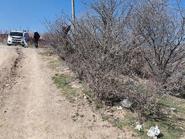 CEM EMLAKTAN YAKACIKTA YOLU, KONTEYNERİ OLAN, TELLE ÇEVRİLİ, HİSSE TAPULU BAHÇE - Görsel 21