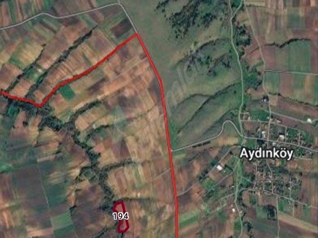 TEKİRDAĞ MURATLI YEŞİLSIRT MHDE SATILIK TARLA