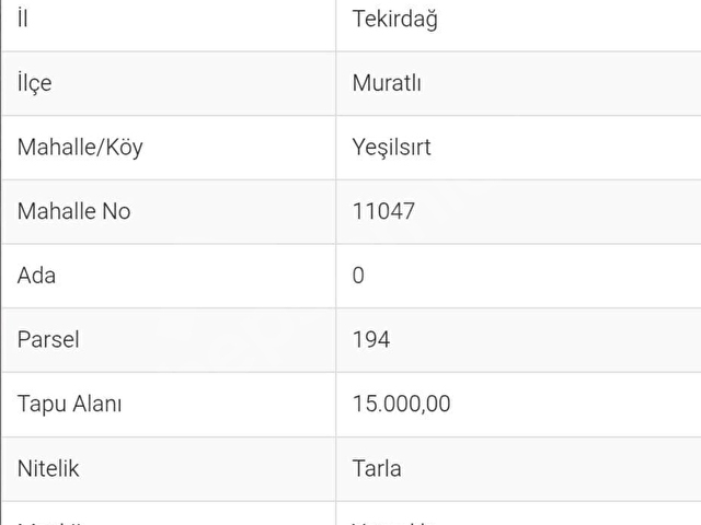 TEKİRDAĞ MURATLI YEŞİLSIRT MHDE SATILIK TARLA - Görsel 3