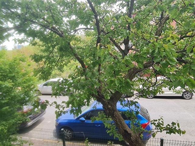 Güzeltepe de Sitede Belediye Bloklarında Asansörlü 3+1 Daire - Görsel 4