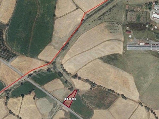 MERSEL EMLAKtan BÜYÜK ÇAKIRMAN MAH.SAT.YOL KENARI SULU TARLA - Görsel 5