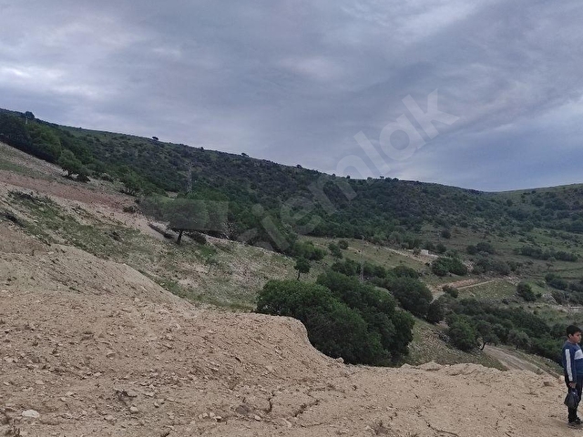 kilis gökmusa da bulunan 17.000 mk arazimiz manzaralı - Görsel 7
