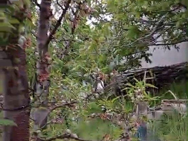YILDIRIM EMLAKTAN BOZYAZI ARDIÇLITAŞ YENİSU CAMİ YANINDA 140 M2 DUBLEX  EV,  150 M2  BAHÇE SATILIK - Görsel 25