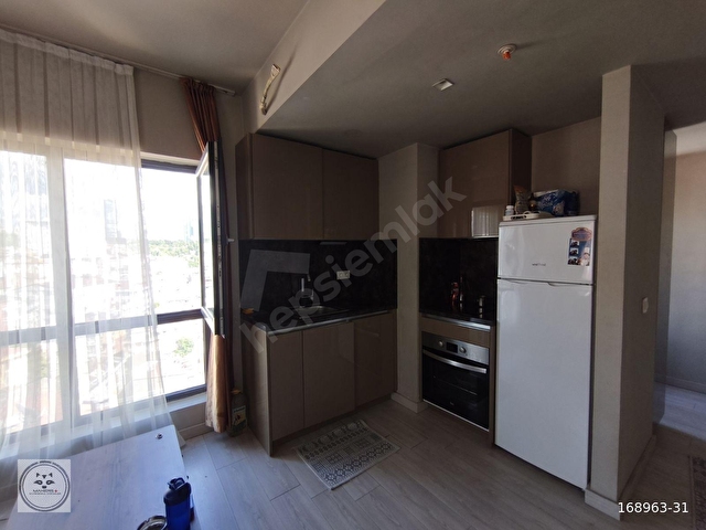 Nef 04 Kağıthanede Kiralık 1+1 Yüksek Kat Köşe Ferah Şık Daire - Görsel 9