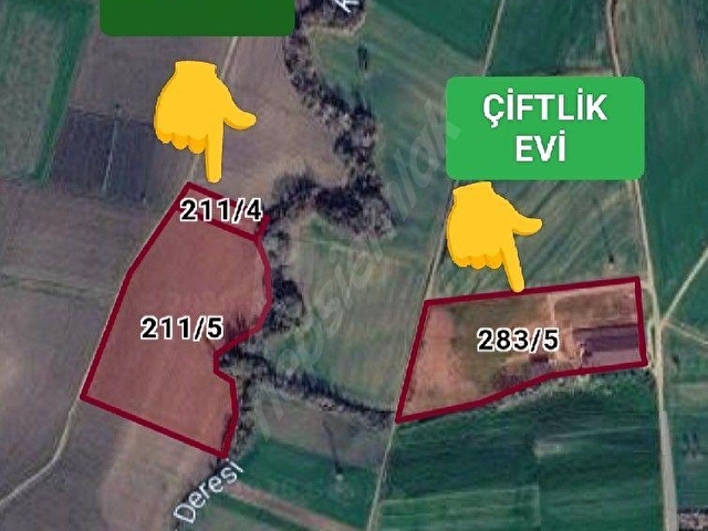 KÖY DİBİ ARAZİ - Görsel 4