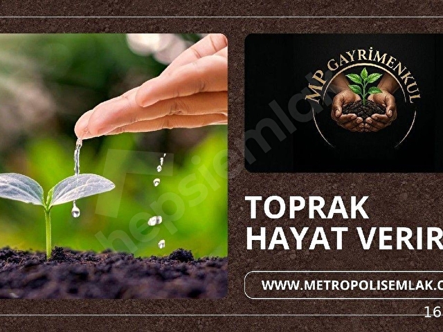 KÖY DİBİ ARAZİ - Görsel 6