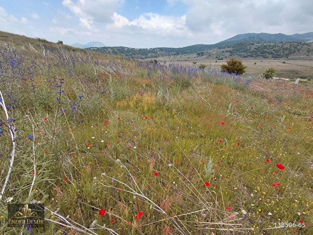 HACILAR AŞAĞI MAHALLE SATILIK 1000 M2 MANZARALI TARLA - Görsel 7