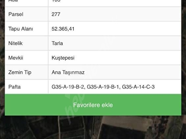 52 DÖNÜM KOLAY KÖYÜ KUŞTEPESİ MÜSTAKİL TEK TAPU TARLA - Görsel 6