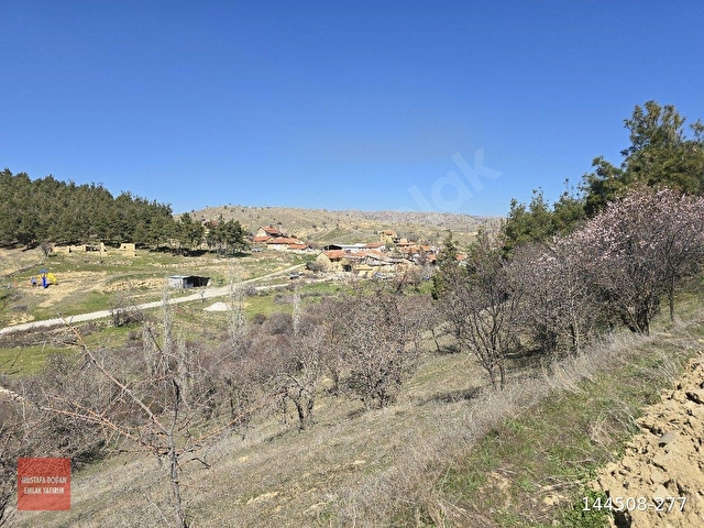 Denizli Çivril Karahacılıda 1404 m2 Köyiçi Tarla. Önü Mera 55 Badem Üzüm Ağaçlı Açıklamayı Okuyunuz - Görsel 13