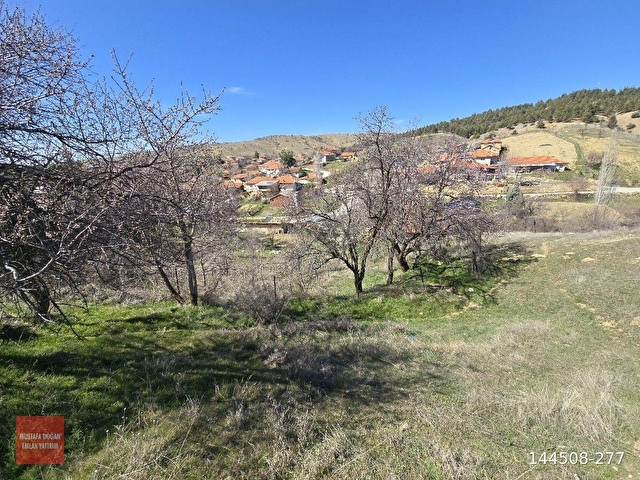 Denizli Çivril Karahacılıda 1404 m2 Köyiçi Tarla. Önü Mera 55 Badem Üzüm Ağaçlı Açıklamayı Okuyunuz - Görsel 19