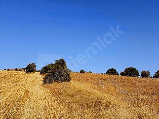 KÜTAHYA MERKEZ KARSAK KÖYÜ - Görsel 4