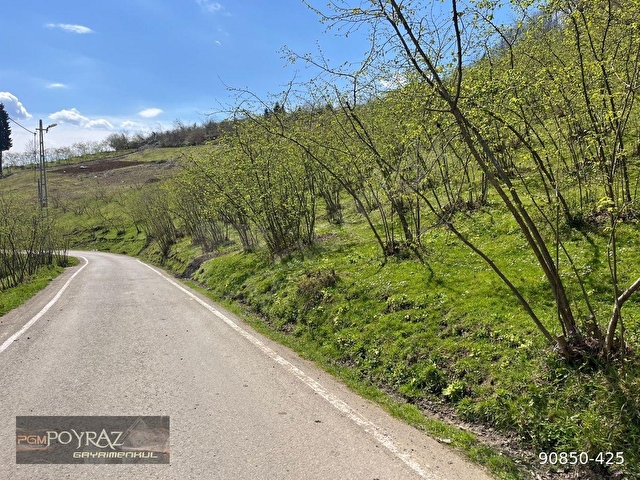 Poyraz gayrimenkul Trabzon kamışlıda satılık arsa