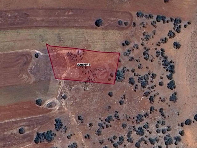 KONYA AHIRLI HENGEMEDE 1.912M² TARLAMIZ SATILIKTIR - Görsel 3