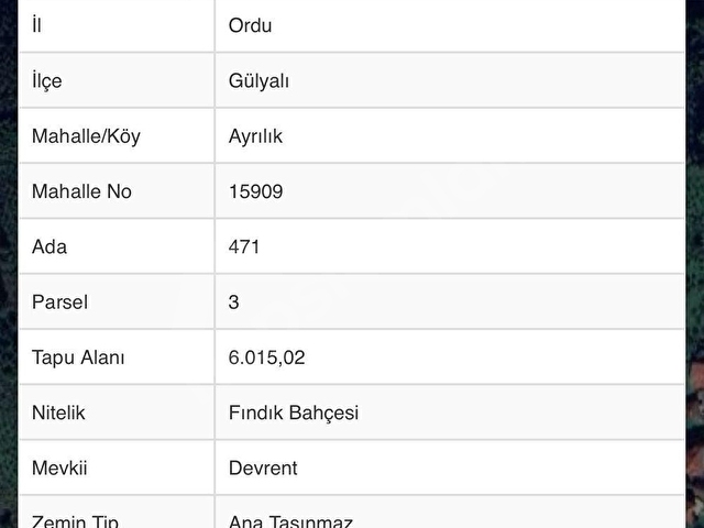 OFFICIAL GAYRİMENKUL SATILIK BAHÇE - Görsel 8