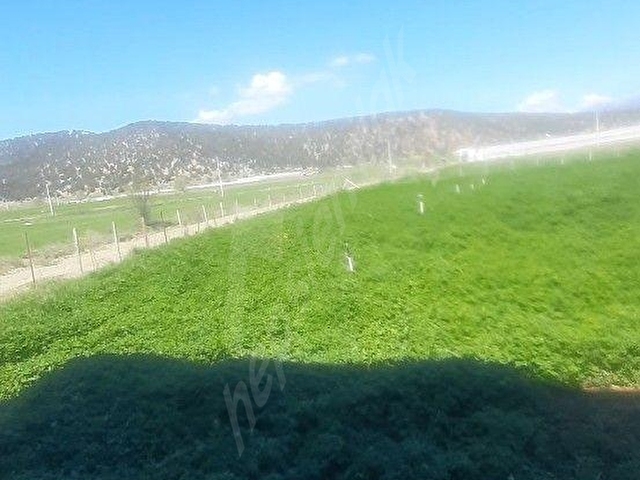 Sedikemer Doğanlarda 8705 m2