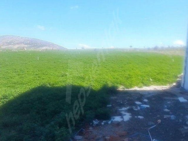 Sedikemer Doğanlarda 8705 m2 - Görsel 2