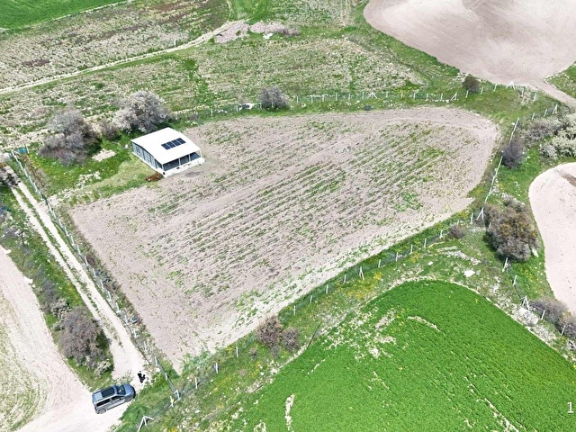 ALİ ASAF DAN ÇANILLI ULUYOLDA 4531 M2 İÇİNDE EVLİ SATILIK TARLA - Görsel 9