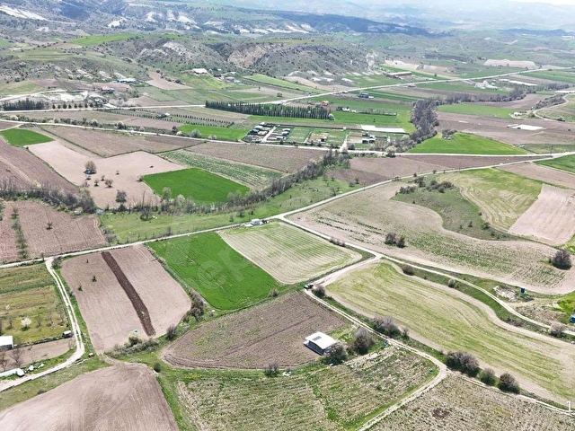 ALİ ASAF DAN ÇANILLI ULUYOLDA 4531 M2 İÇİNDE EVLİ SATILIK TARLA - Görsel 2