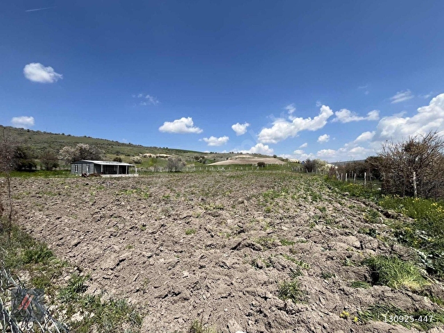 ALİ ASAF DAN ÇANILLI ULUYOLDA 4531 M2 İÇİNDE EVLİ SATILIK TARLA - Görsel 15