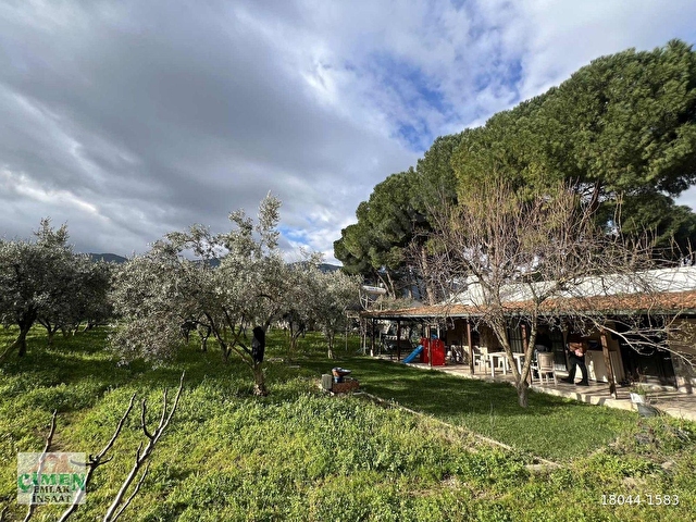 ÇİMENden SATILIK DEĞİRMENDEREde MÜSTAKİL TAPULU TARLA VE EVİ - Görsel 14