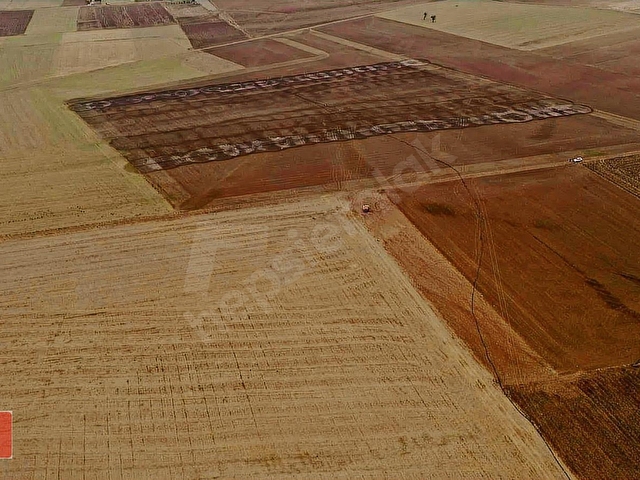 Öztekinden Turgutlar da 2.685m2 TARLA - Görsel 27