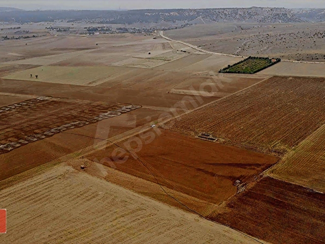Öztekinden Turgutlar da 2.685m2 TARLA - Görsel 21
