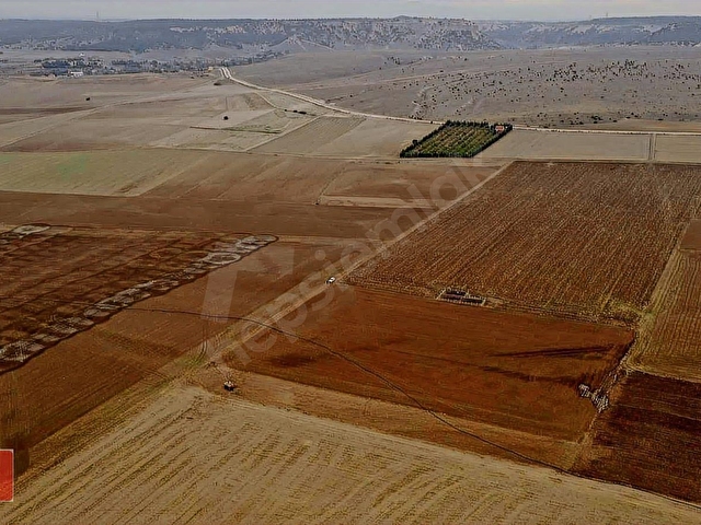 Öztekinden Turgutlar da 2.685m2 TARLA - Görsel 22