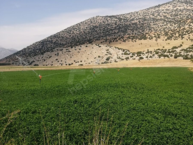 Burdur Yesilova Da Ana Yola Yakin Yonca Tarlasi Acil Satilik 117528 57 Hurriyet Emlak