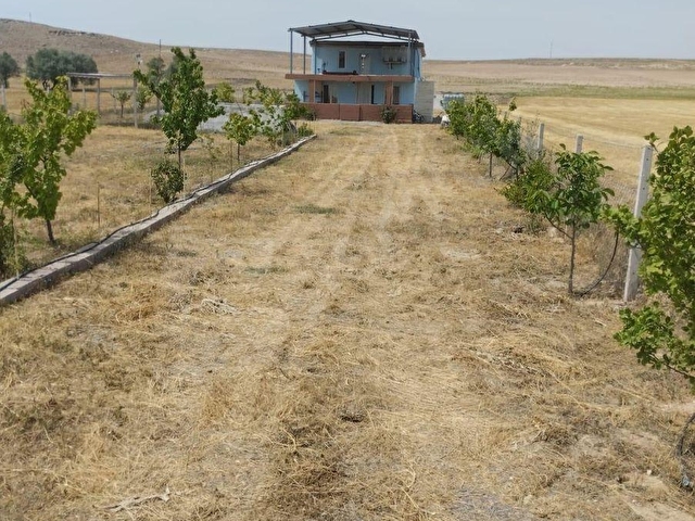 Armutlu Köyü’nde Satılık Ruhsatlı Çiftlik - Görsel 5