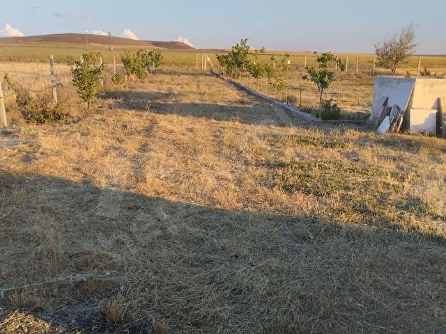 Armutlu Köyü’nde Satılık Ruhsatlı Çiftlik - Görsel 24